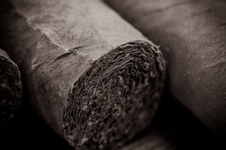 Cigar Close Upの写真素材