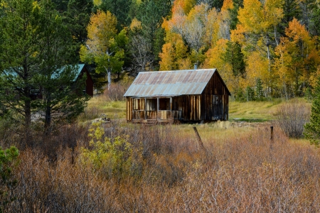 Log Cabin in Autumnのeditorial素材