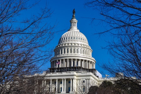 Washington DC in the Winterのeditorial素材
