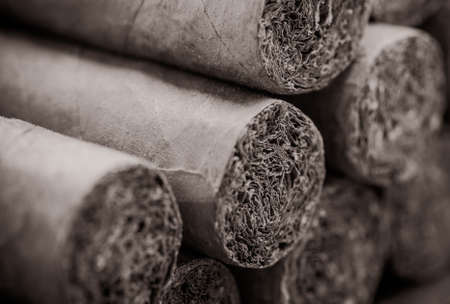 Cigarsの写真素材
