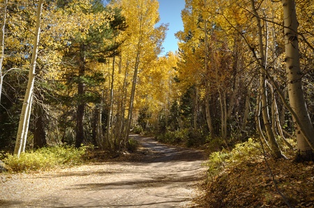 Dirt Road in Autumnの写真素材