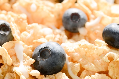 Close Up of Cereal with Blueberries and Milkの写真素材