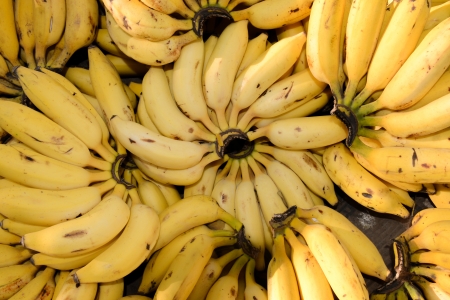 Bananas for Sale at the Marketの写真素材