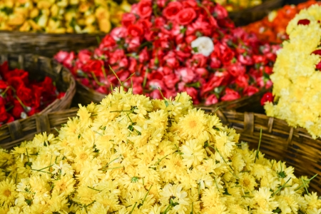 Yellow Chrysanthemum Flowers in a Basketの写真素材