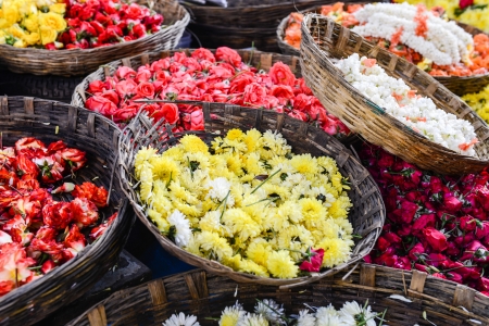 Mums and Roses for Sale in Indiaの写真素材