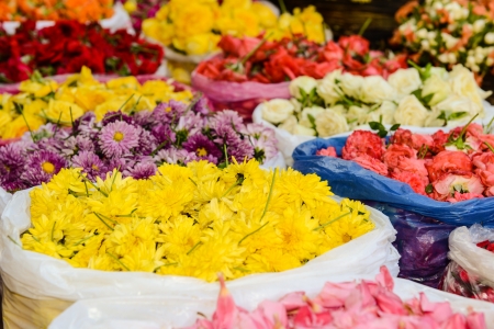Mums and Roses for Sale in Indiaの写真素材