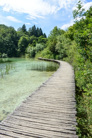 Wooden Pathの写真素材