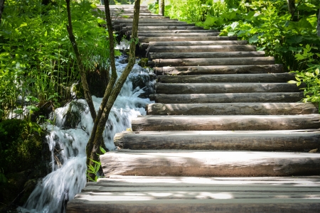 Wooden Hiking Path or Trail in a Forestの写真素材