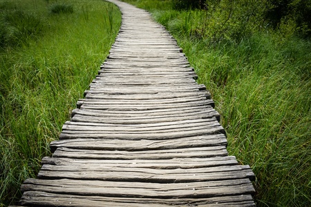 Wooden Boardwalk Hiking Trailの写真素材