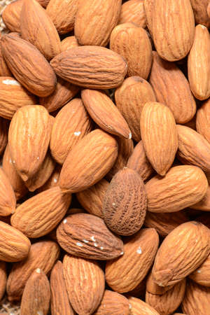 Almond の写真素材