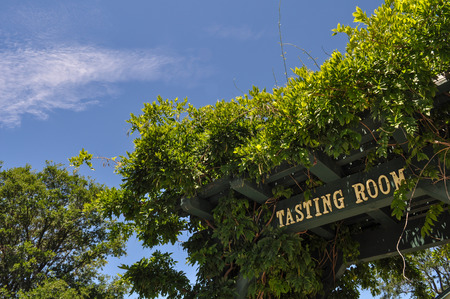 Wine Tasting Room Signの写真素材