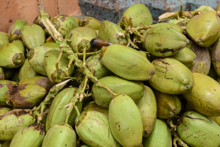 Raw Green Coconutsの写真素材