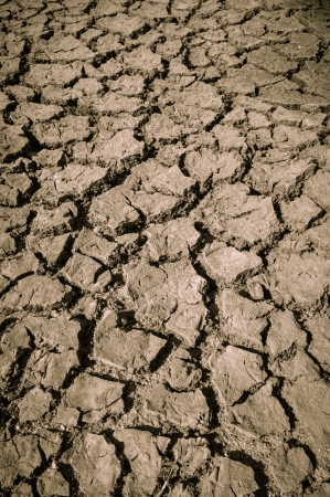 Cracked Groundの写真素材