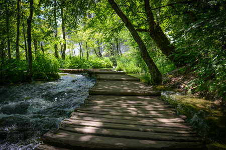 Hiking Path on a Wooden Trailの写真素材
