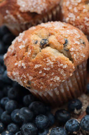 Blueberry Muffinの写真素材
