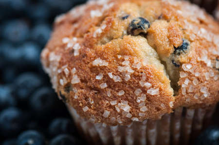 Blueberry Muffinの写真素材