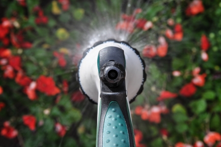 Watering Plantsの写真素材