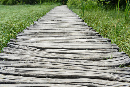 Wooden Boardwalk Hiking Trailの写真素材