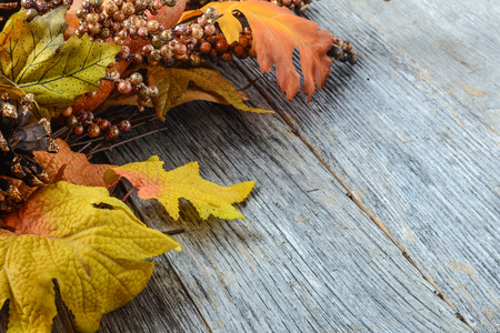Autumn leaves and berry over wooden background for Thanksgivingの写真素材