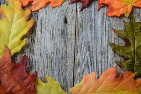 Fall Leaves on a Rustic Wood Background in the Shape of a Frameの写真素材