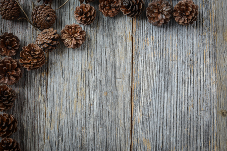 Pine Cone on Rustic Wood Backgroundの写真素材