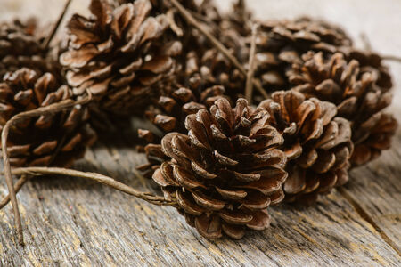Pinecones on Rustic Wood Backgroundの写真素材