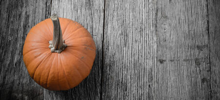 Pumpkin on Rustic Wood Backgroundの写真素材