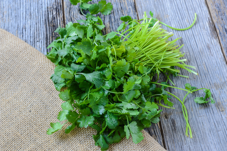 Cilantro on Wooden Backgroundの写真素材