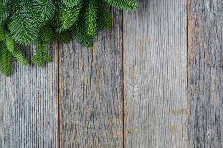 Tree branch on rustic wooden background used for christmas decorationの写真素材