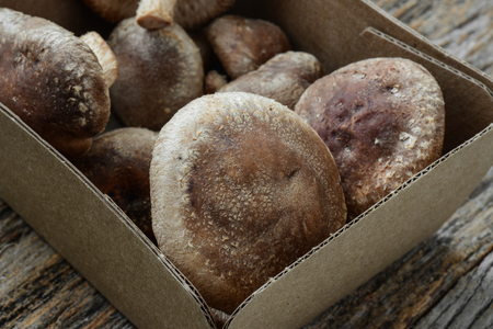 Shitake Mushroom in Cardboard Packaging on Wood Backgroundの写真素材