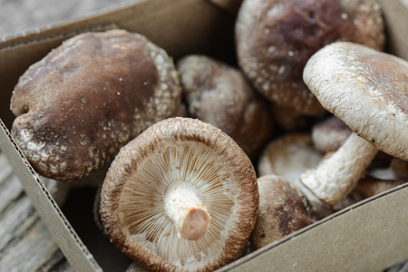 Shitake Mushroom in Cardboard Packaging on Wood Backgroundの写真素材