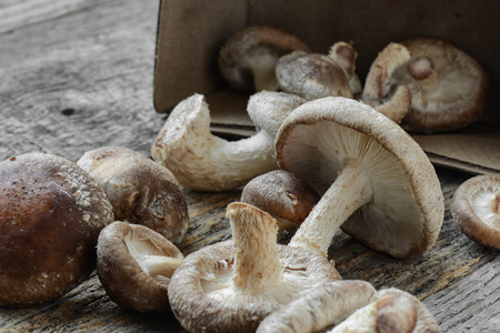 Shitake Mushroom in Cardboard Packaging on Wood Backgroundの写真素材