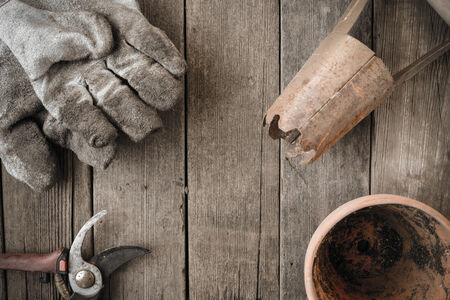 Gardening Background for Planting Flowersの写真素材