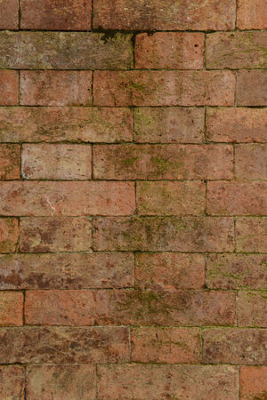 Old Bricks with Moss Backgroundの写真素材