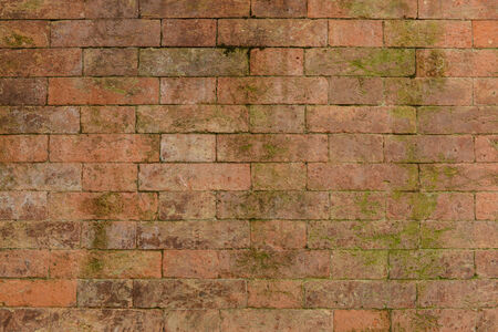 Old Bricks with Moss Backgroundの写真素材
