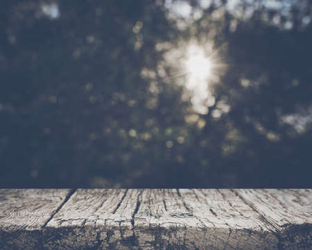 Blurred Tree Branch Background with Retro Style Filter