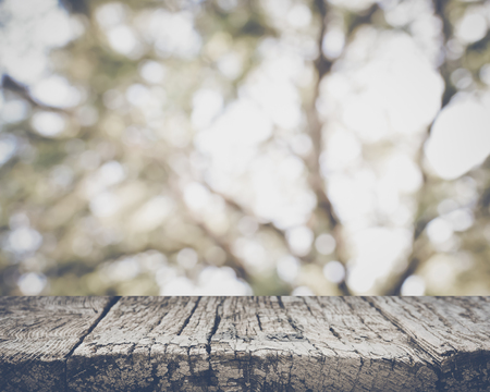 Blurred Tree Background with Retro Style Filterの写真素材