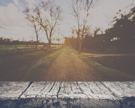 Blurred Nature Background with Vintage Style Filter