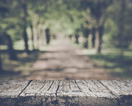 Blurred Nature Backgroundの写真素材
