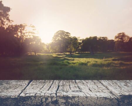 Blurred Nature Backgroundの写真素材