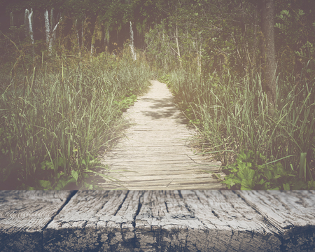 Hiking Trail with Sunlight with Vintage Film Effectの写真素材