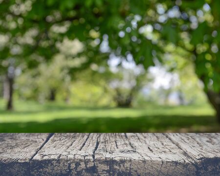 Blurred Nature Backgroundの写真素材