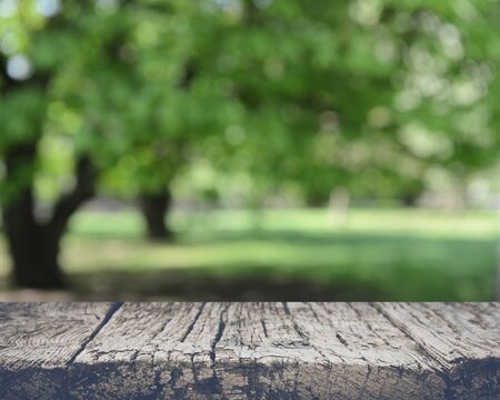 Blurred Nature Backgroundの写真素材