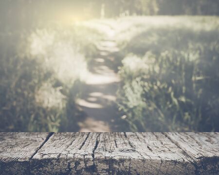 Blurred Nature Backgroundの写真素材