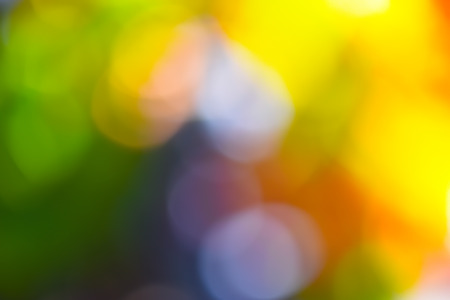 Autumn Blurred Backgroundの写真素材