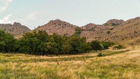 Landscape - plain and mountainsの写真素材