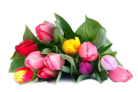 Bouquet of tulipsの写真素材