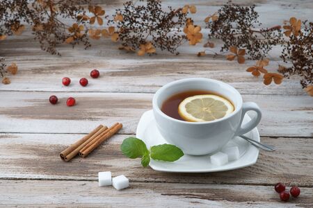 Cup of tea with cranberryの写真素材