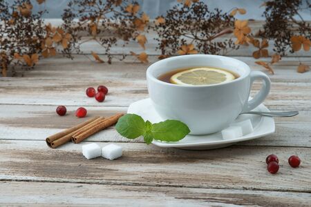 Cup of tea with cranberry and mint leafの写真素材