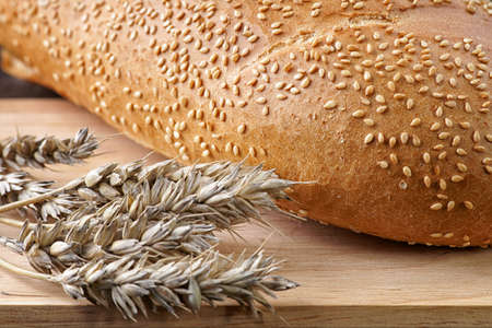 Fresh breadの写真素材